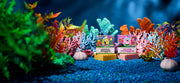 SpongeBob 4-Pack M3