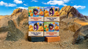 Dragon Ball Z 4-Pack J9
