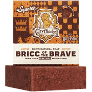 Bricc of the Brave Z0