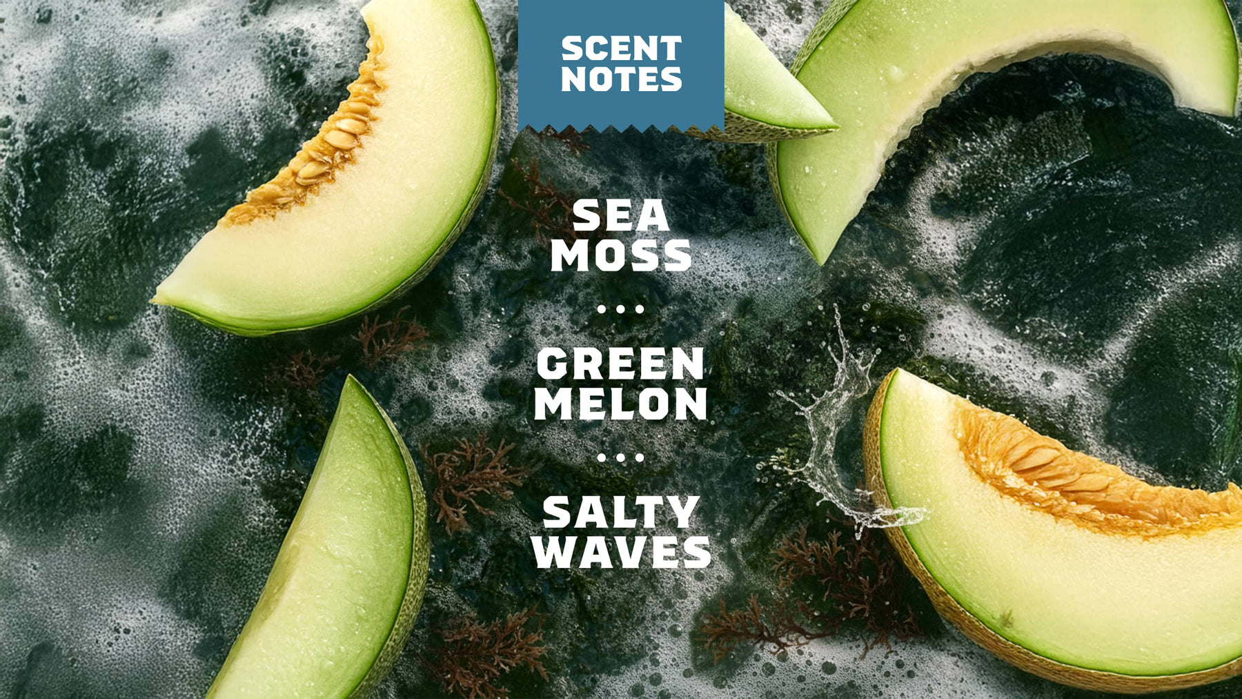 Coastal Mist Hand Soap P9
