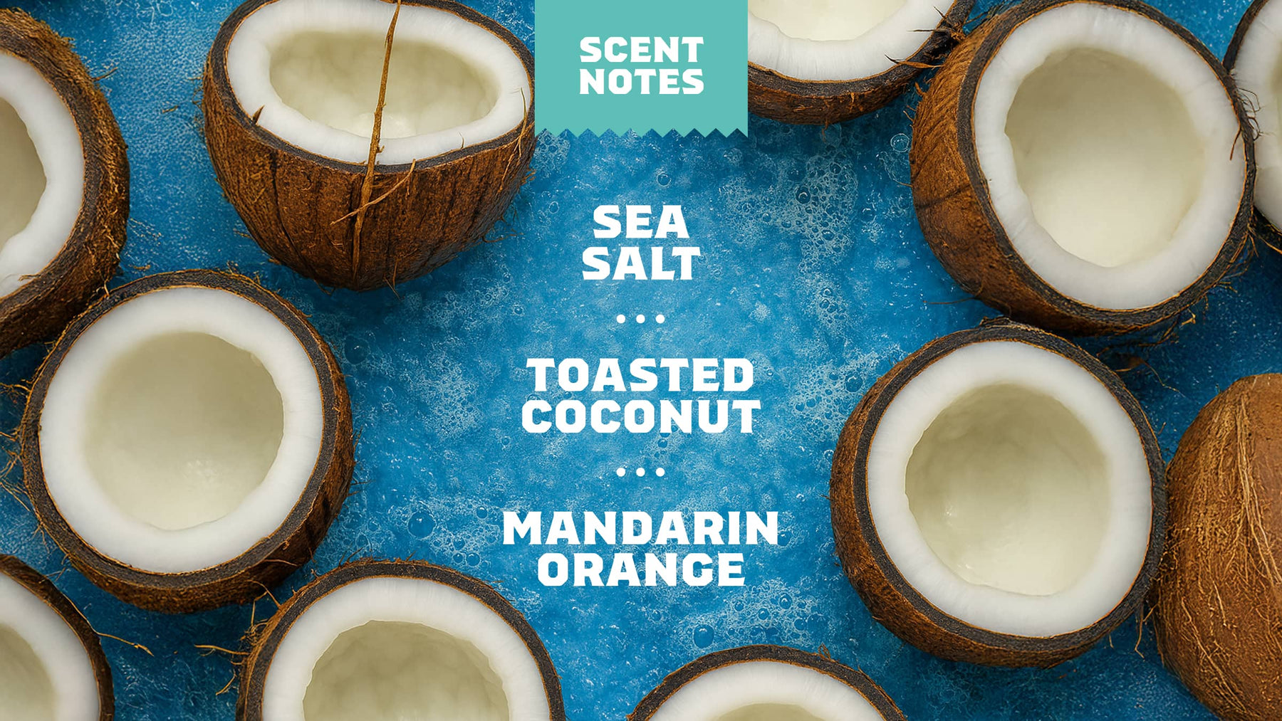 Coconut Castaway Hand Soap C6