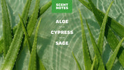 Cool Fresh Aloe Conditioner W7