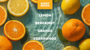Summer Citrus Hand Soap W2
