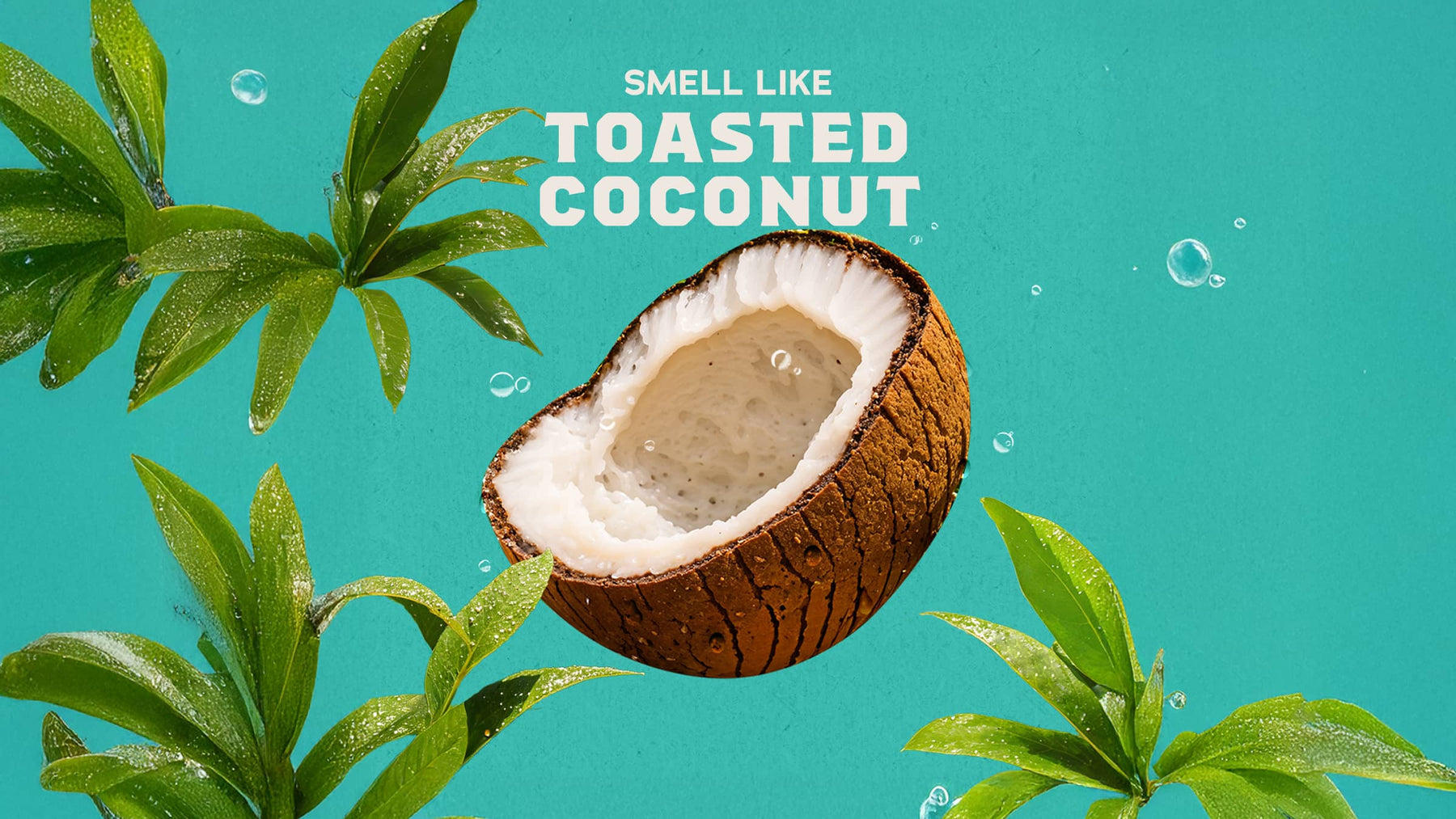 Coconut Castaway Hand Soap C6