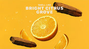 Summer Citrus Hand Soap W2
