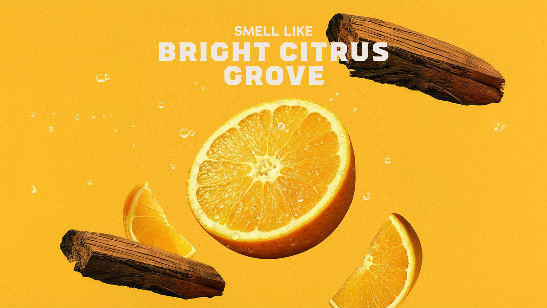 Summer Citrus Hand Soap W2